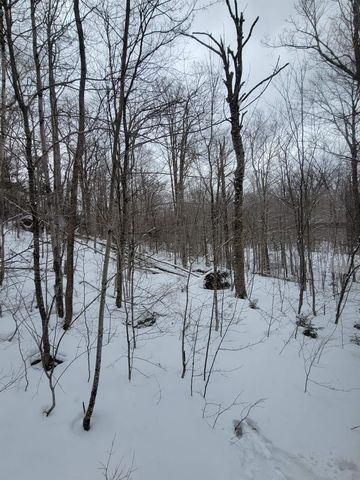 845 Bailey Hill Road, Readsboro, VT 05350