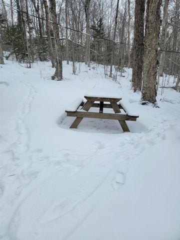 845 Bailey Hill Road, Readsboro, VT 05350