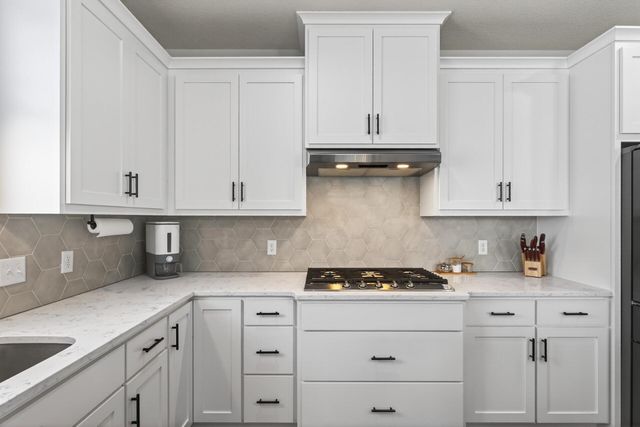 6352 Red Cedar Drive, Chaska, MN 55318