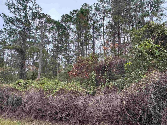 139 Peebles Rd, Interlachen, FL 32148