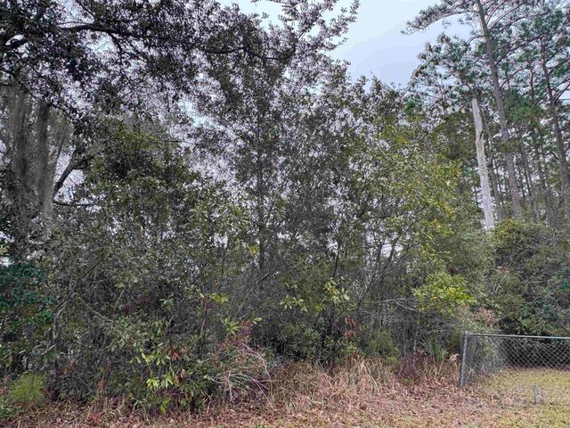 139 Peebles Rd, Interlachen, FL 32148