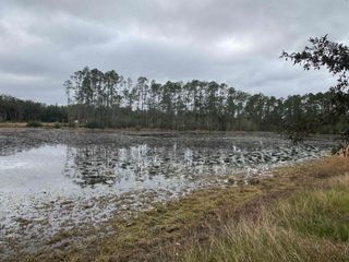 139 Peebles Rd, Interlachen, FL 32148