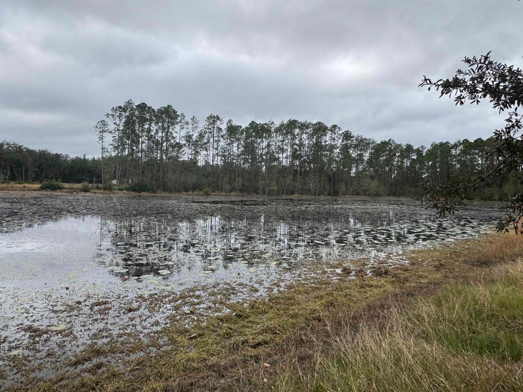 139 Peebles Rd, Interlachen, FL 32148