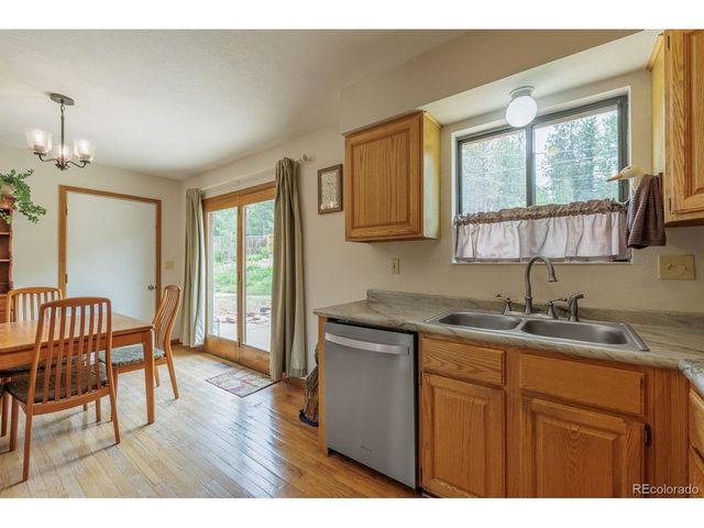 107 Glovers Ln, Woodland Park, CO 80863