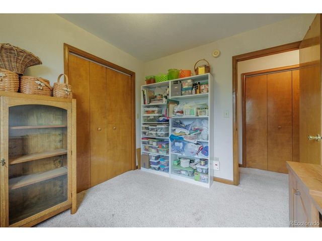 107 Glovers Ln, Woodland Park, CO 80863