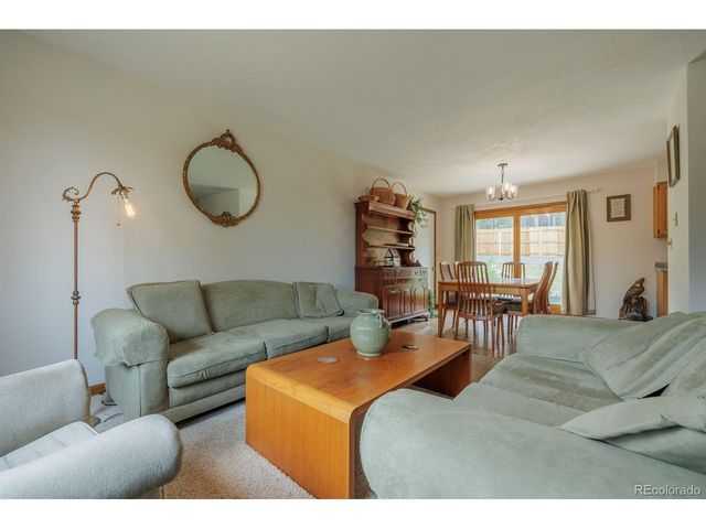 107 Glovers Ln, Woodland Park, CO 80863