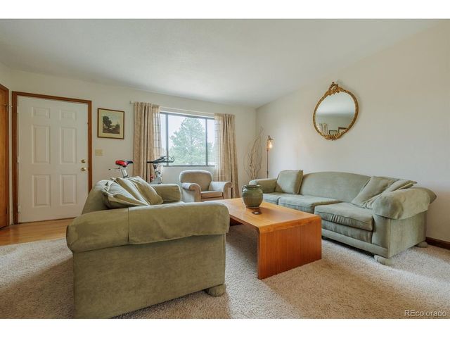 107 Glovers Ln, Woodland Park, CO 80863