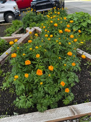 8730 Geirinhas Place, Anchorage, AK 99507