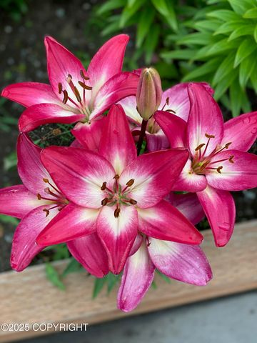 8730 Geirinhas Place, Anchorage, AK 99507