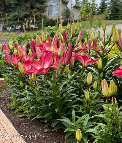 8730 Geirinhas Place, Anchorage, AK 99507