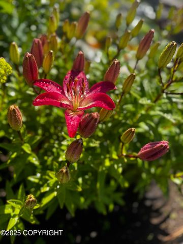 8730 Geirinhas Place, Anchorage, AK 99507