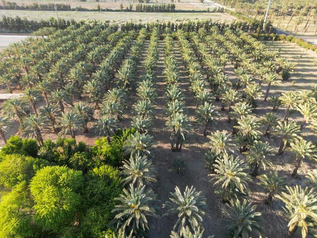 82955 Avenue 60, Thermal, CA 92274