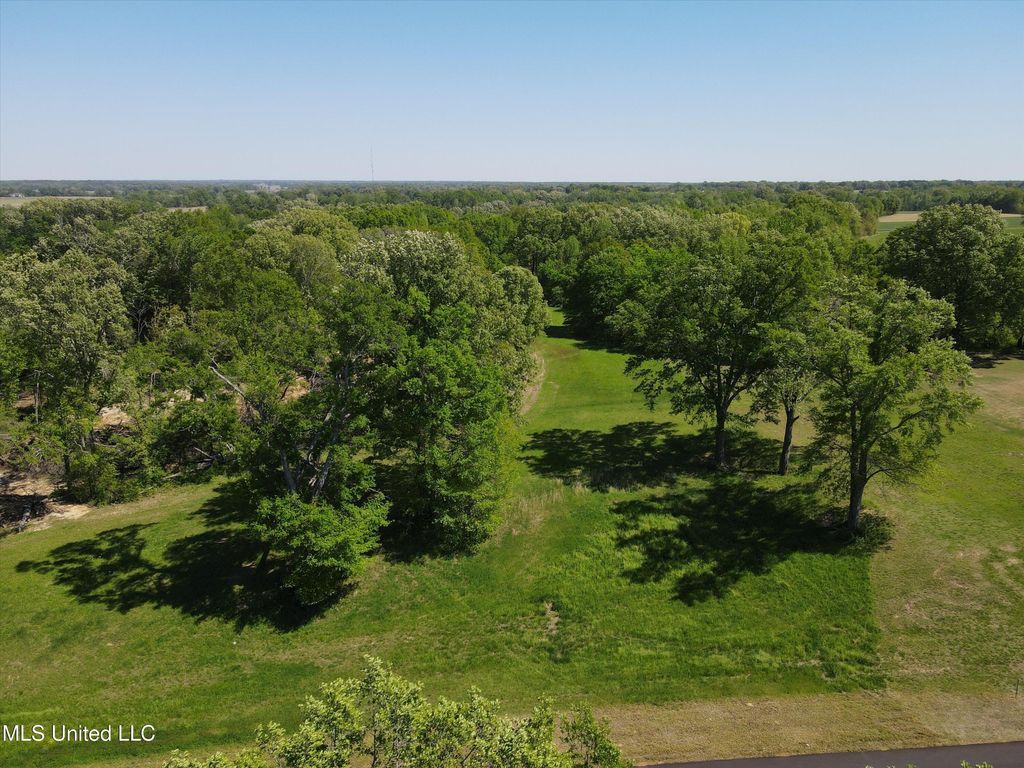 11e Como Trace Drive, Senatobia, MS 38668 — photo 4