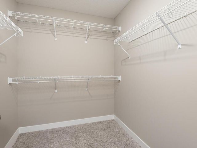 1389 Freedom Lane, Delano, MN 55328