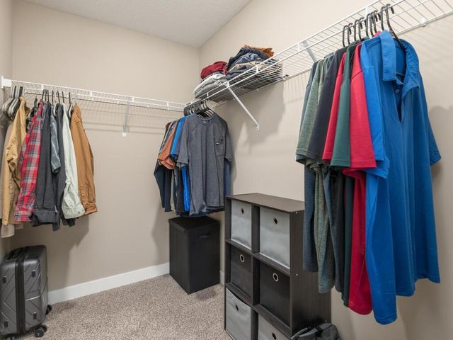 1389 Freedom Lane, Delano, MN 55328