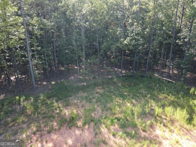 LOT 3 Cecil Hunter Road, Moreland, GA 30259