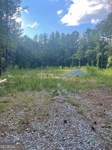 LOT 3 Cecil Hunter Road, Moreland, GA 30259