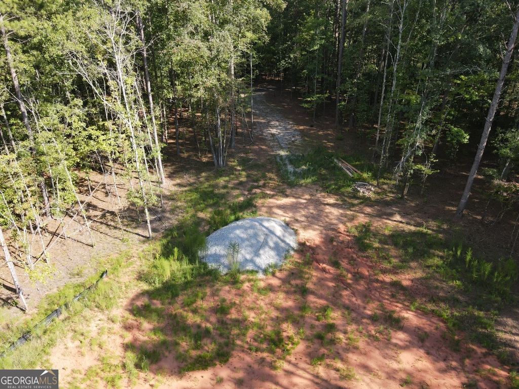 LOT 3 Cecil Hunter Road, Moreland, GA 30259