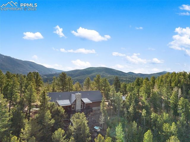 111 Blue Spruce Road, Divide, CO 80814