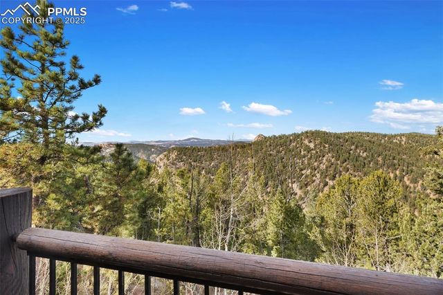 111 Blue Spruce Road, Divide, CO 80814