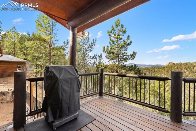 111 Blue Spruce Road, Divide, CO 80814