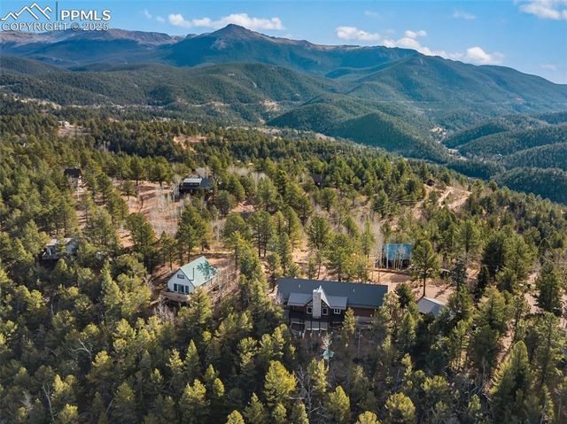 111 Blue Spruce Road, Divide, CO 80814