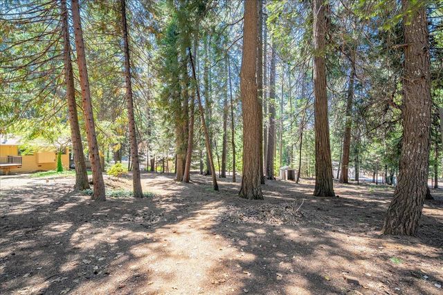 2226 Blair Rd, Pollock Pines, CA 95726