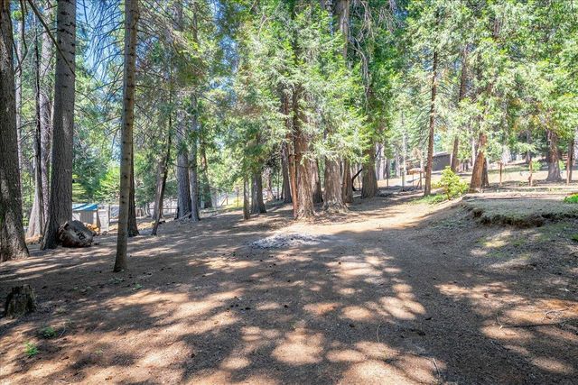 2226 Blair Rd, Pollock Pines, CA 95726