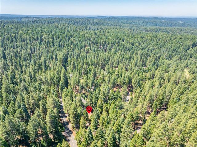 2226 Blair Rd, Pollock Pines, CA 95726
