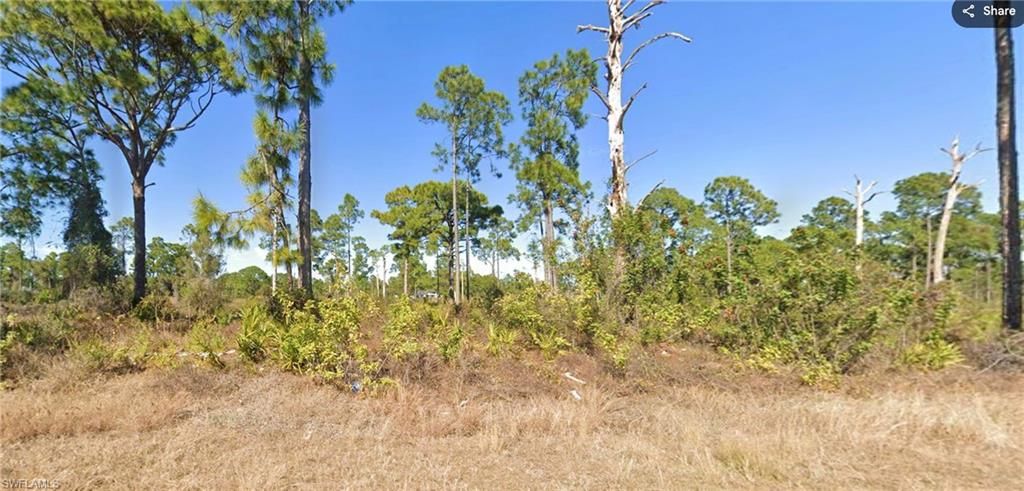 1103 Garibaldi ST E, LEHIGH ACRES, FL 33974 — exterior
