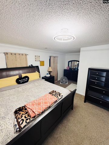 268 Foxport Drive, Chapin, SC 29036