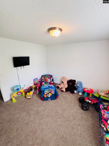 268 Foxport Drive, Chapin, SC 29036