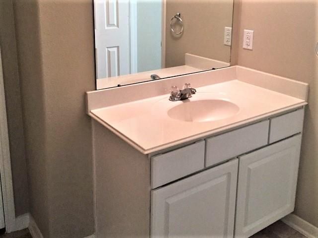 16842 Blackberry Lily Lane, Conroe, TX 77385