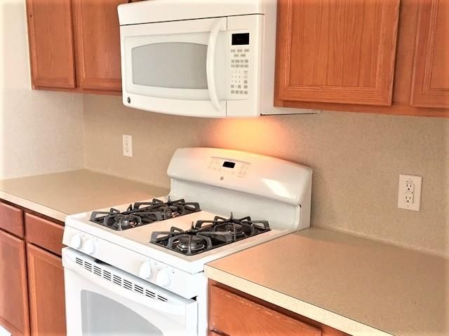 16842 Blackberry Lily Lane, Conroe, TX 77385