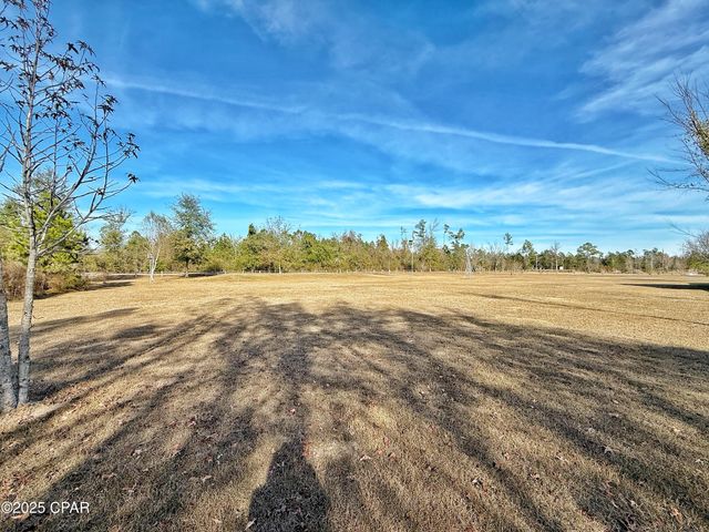 21382 NW Paradise Lane, Altha, FL 32421