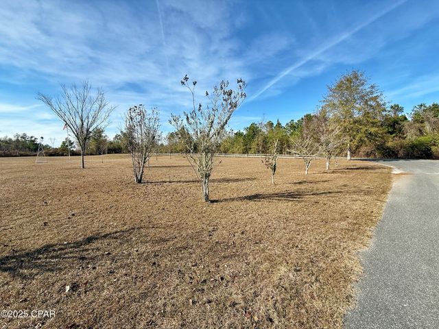 21382 NW Paradise Lane, Altha, FL 32421