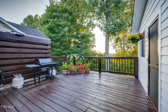 259 Alpine Trail, Kingsport, TN 37663