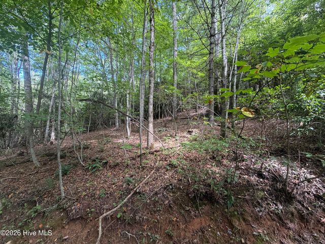 22 Nantahala Harbor Drive, Topton, NC 28781