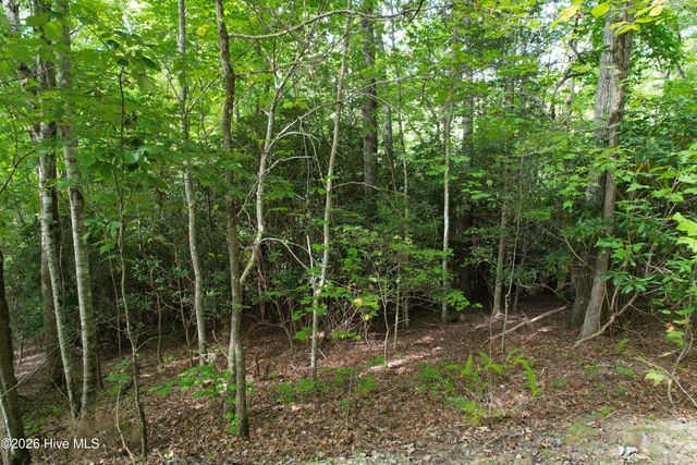 22 Nantahala Harbor Drive, Topton, NC 28781