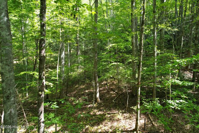 22 Nantahala Harbor Drive, Topton, NC 28781