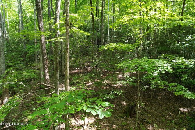 22 Nantahala Harbor Drive, Topton, NC 28781