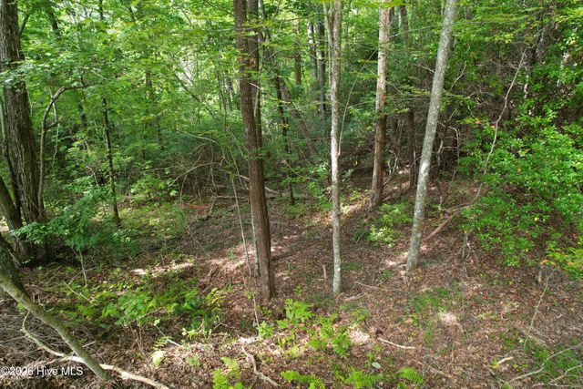 22 Nantahala Harbor Drive, Topton, NC 28781