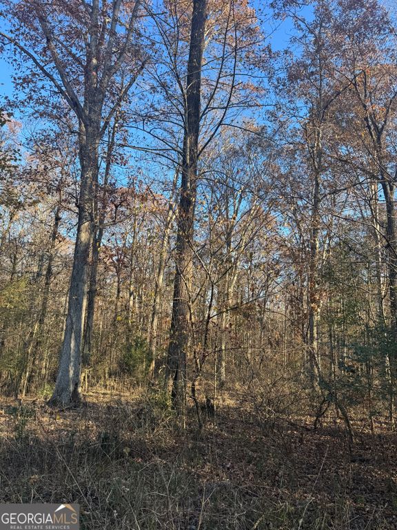 2661 Oakley Trail, Statham, GA 30666 — photo 3