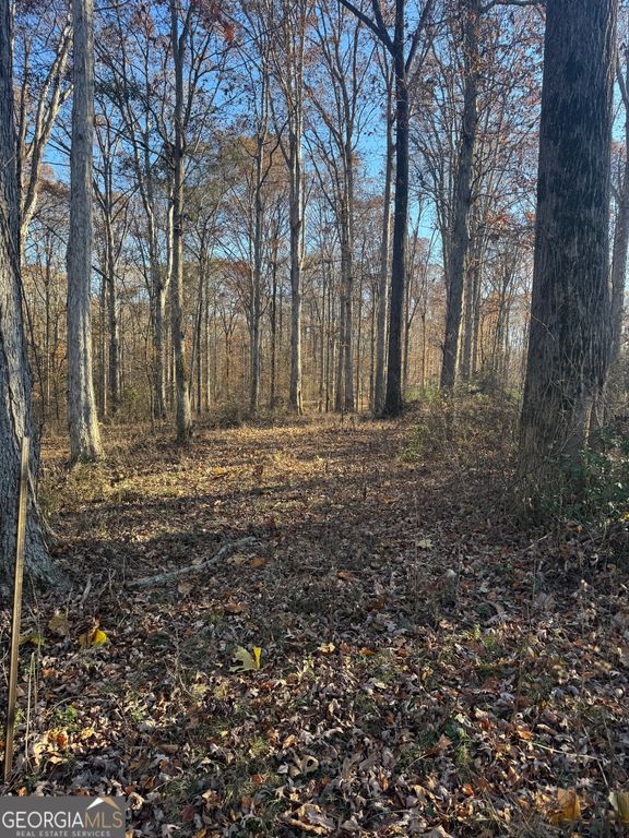 2661 Oakley Trail, Statham, GA 30666 — photo 4