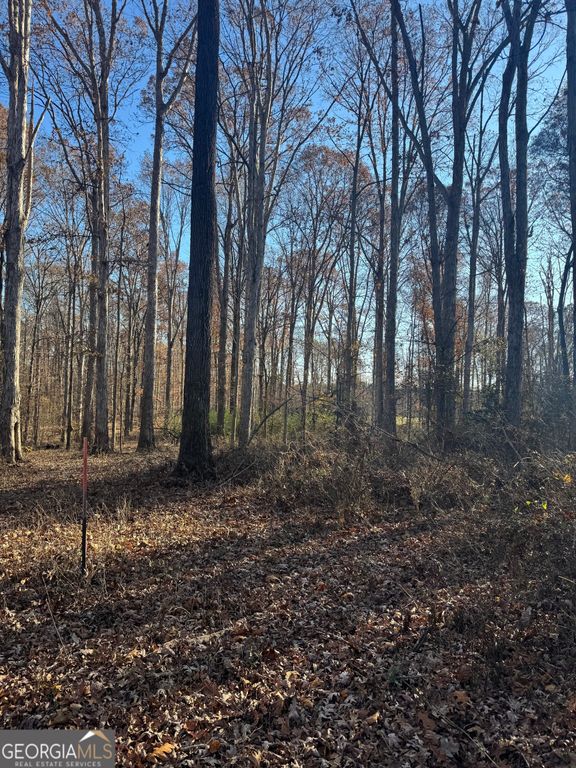 2661 Oakley Trail, Statham, GA 30666 — photo 5