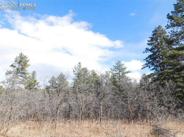 8122 Acoma Drive, Larkspur, CO 80118