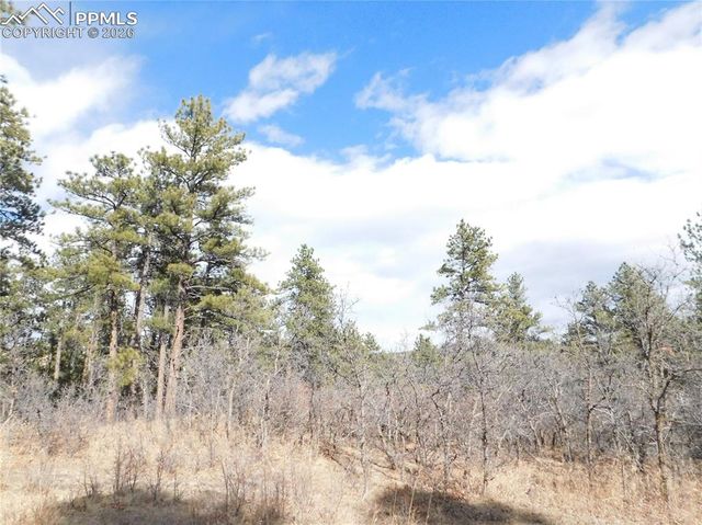 8122 Acoma Drive, Larkspur, CO 80118
