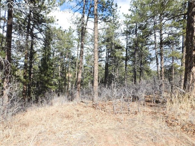 8122 Acoma Drive, Larkspur, CO 80118