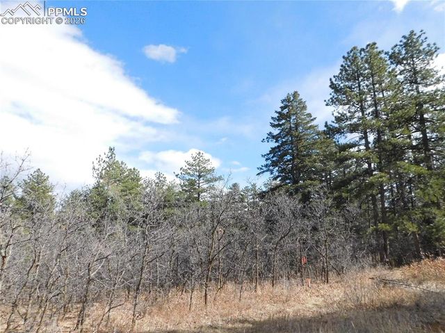 8122 Acoma Drive, Larkspur, CO 80118