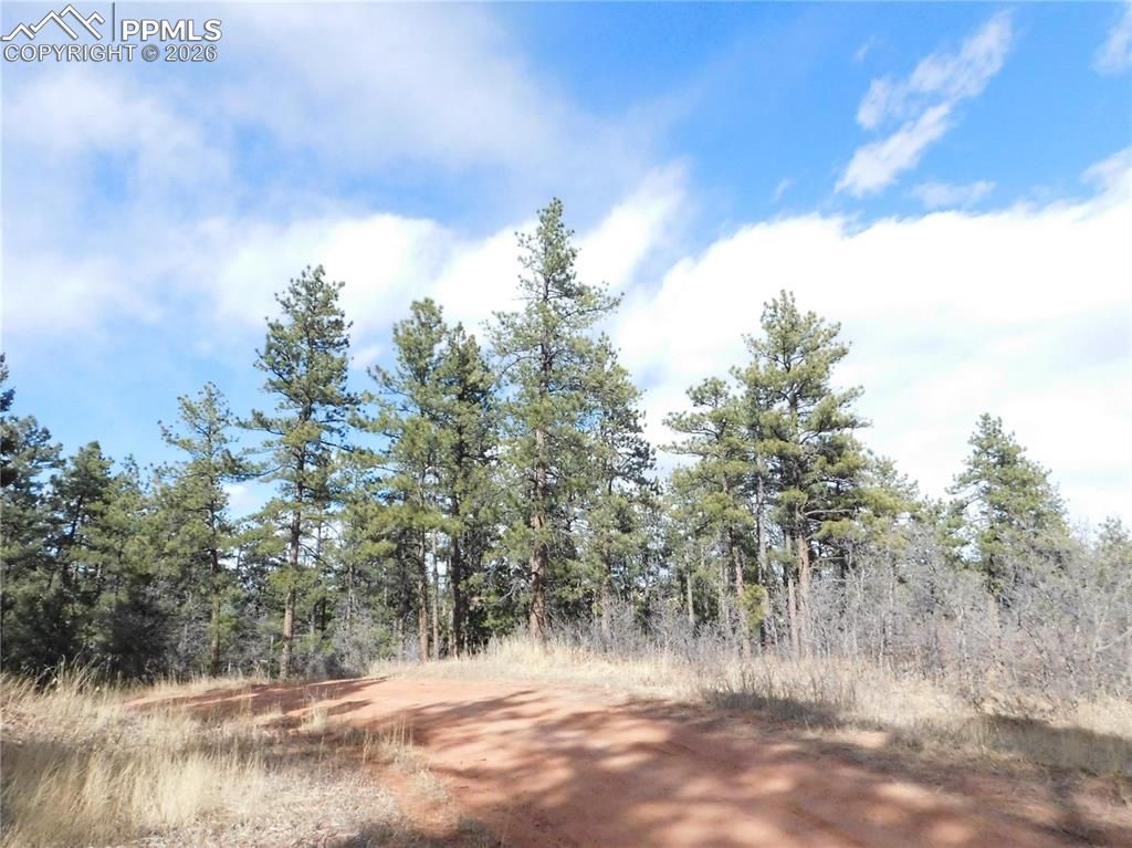 8122 Acoma Drive, Larkspur, CO 80118